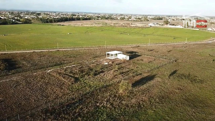 Terreno Agricola ou Rústico para Venda em Salvaterra de Magos e Foros de Salvaterra Foto 4