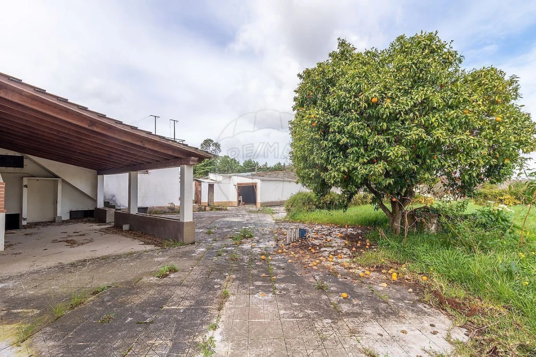 Moradia T3 para Venda em Cernache Foto 7