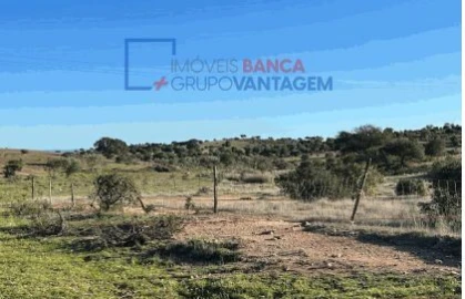 Terreno Agricola ou Rústico para Venda em Santana de Cambas