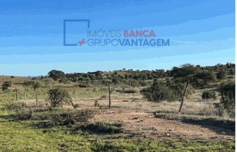 Terreno Agricola ou Rústico para Venda em Santana de Cambas Foto 4