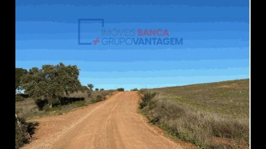 Terreno Agricola ou Rústico para Venda em Santana de Cambas