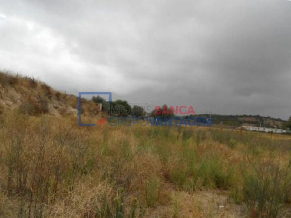 Terreno Misto para Venda em Alvito Foto 2