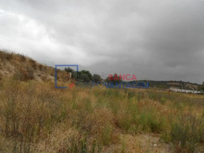 Terreno Misto para Venda em Alvito Foto 2