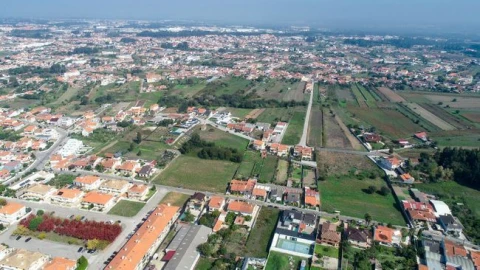 Terreno Agricola ou Rústico para Venda em São Bernardo