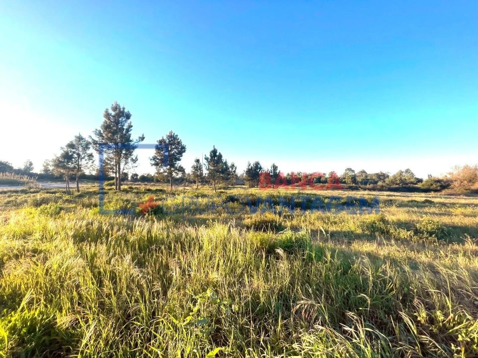 Terreno para Venda em Pegões Foto 6