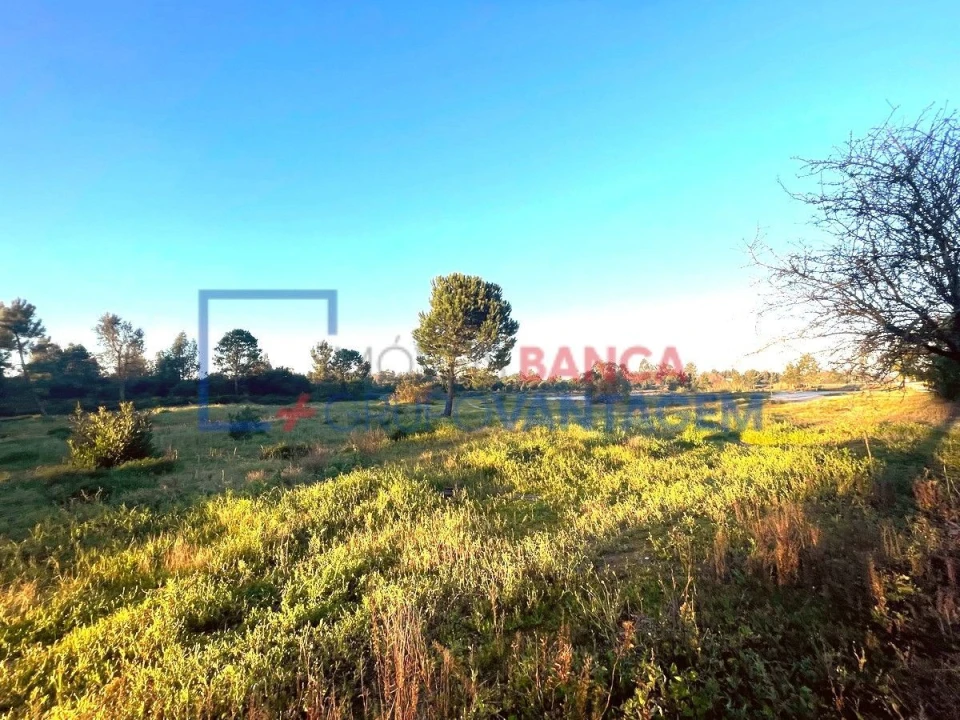 Terreno para Venda em Pegões Foto 12