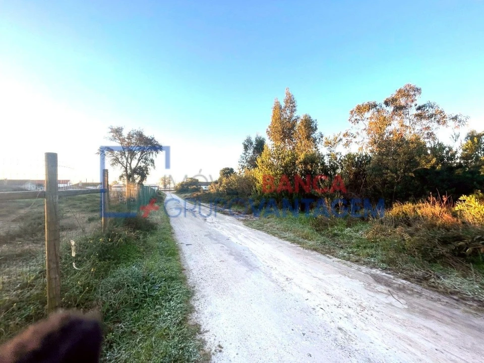 Terreno para Venda em Pegões Foto 26