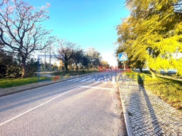 Terreno para Venda em Pegões