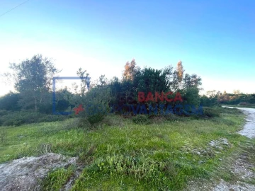 Terreno para Venda em Pegões