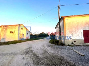 Terreno para Venda em Pegões