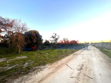Terreno para Venda em Pegões