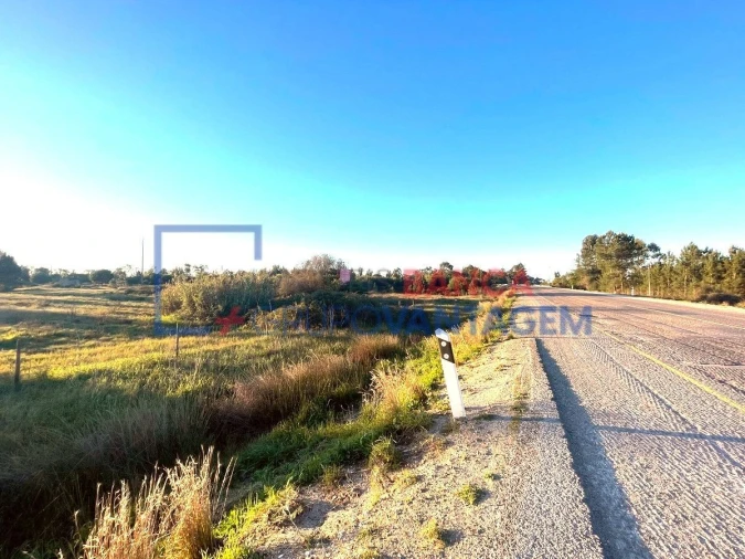 Terreno para Venda em Pegões Foto 7