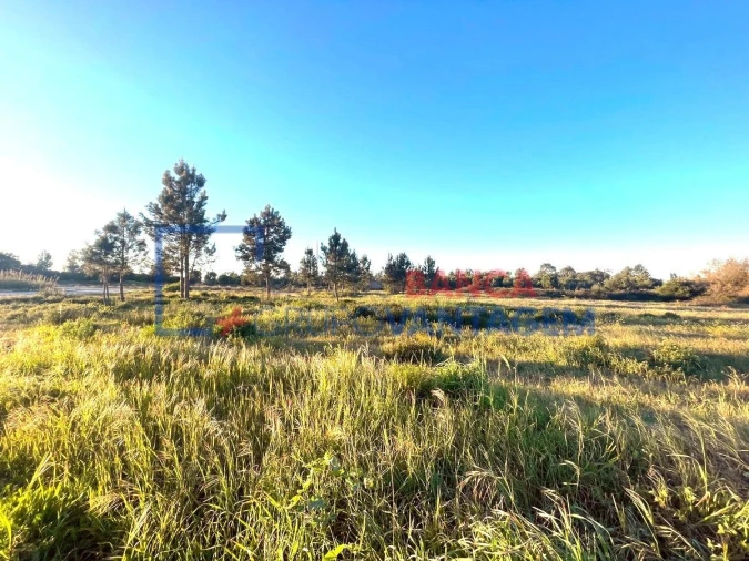 Terreno para Venda em Pegões Foto 6