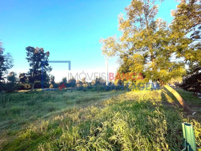 Terreno para Venda em Pegões Foto 11