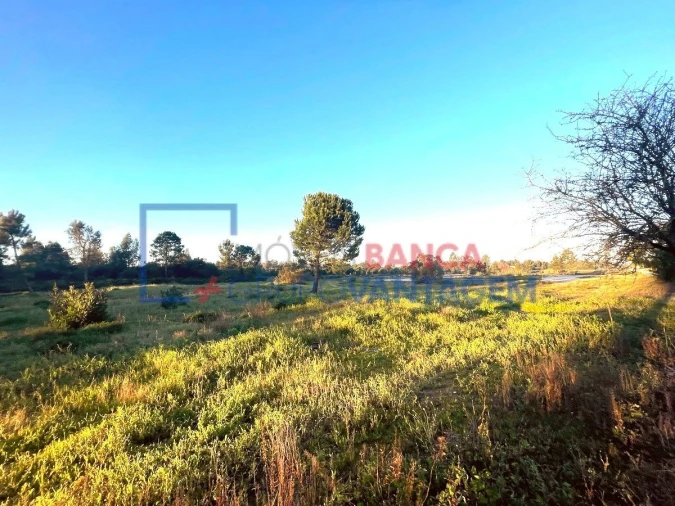 Terreno para Venda em Pegões Foto 12