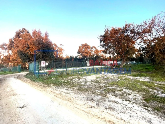 Terreno para Venda em Pegões Foto 27