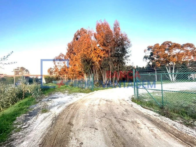 Terreno para Venda em Pegões Foto 28
