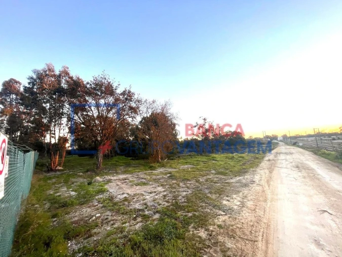 Terreno para Venda em Pegões Foto 30