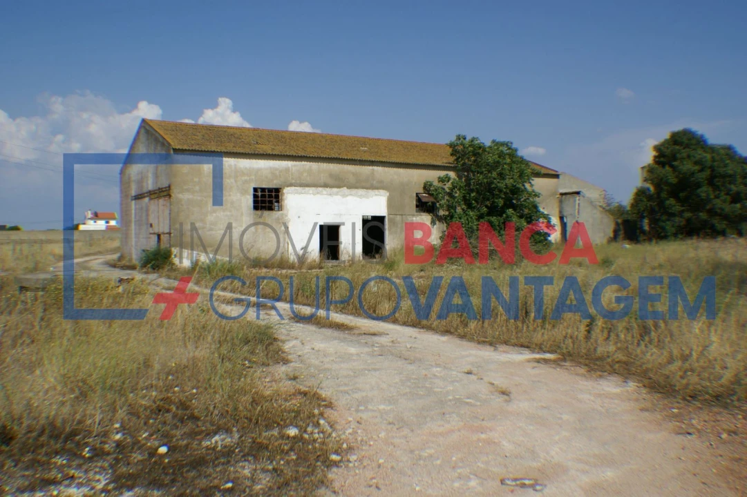 Terreno Misto para Venda em Montijo e Afonsoeiro Foto 4