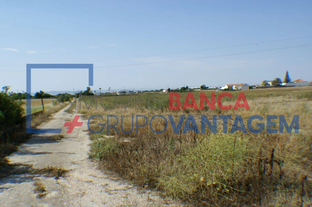 Terreno Misto para Venda em Montijo e Afonsoeiro Foto 7