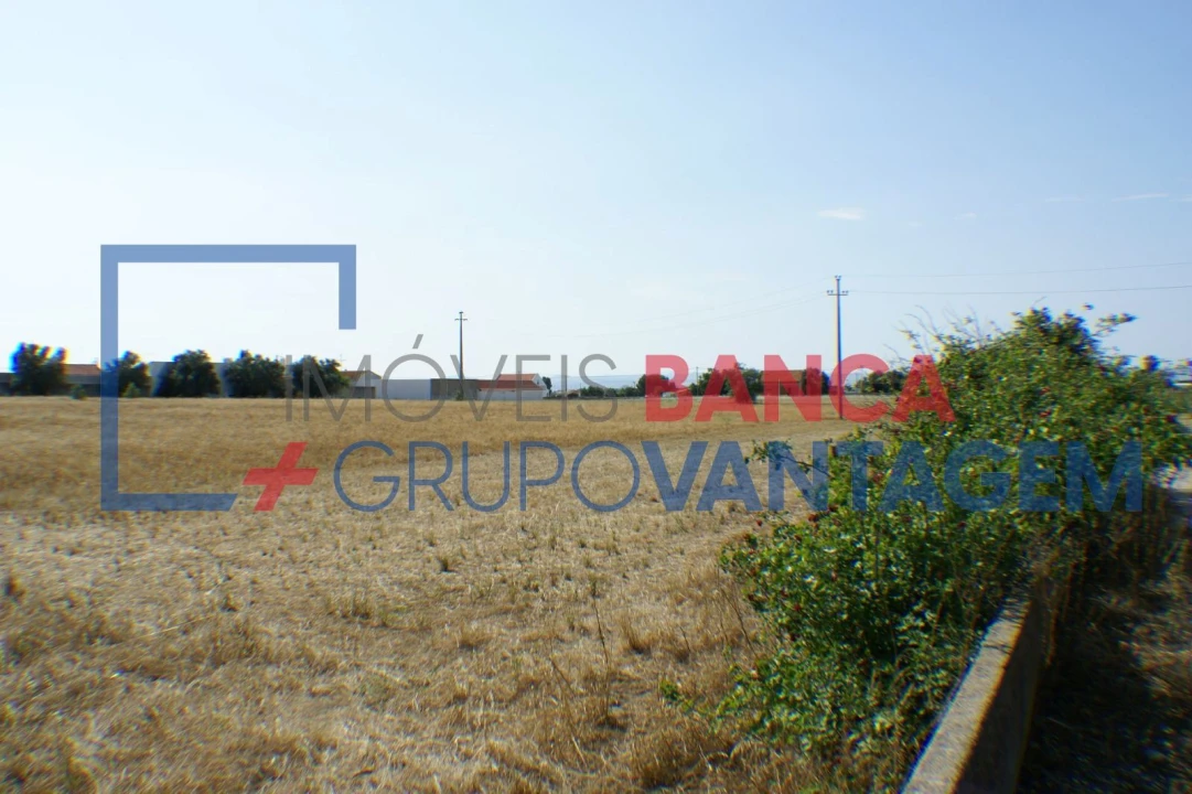Terreno Misto para Venda em Montijo e Afonsoeiro Foto 11
