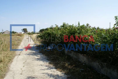 Terreno Misto para Venda em Montijo e Afonsoeiro