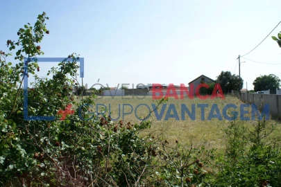 Terreno Misto para Venda em Montijo e Afonsoeiro
