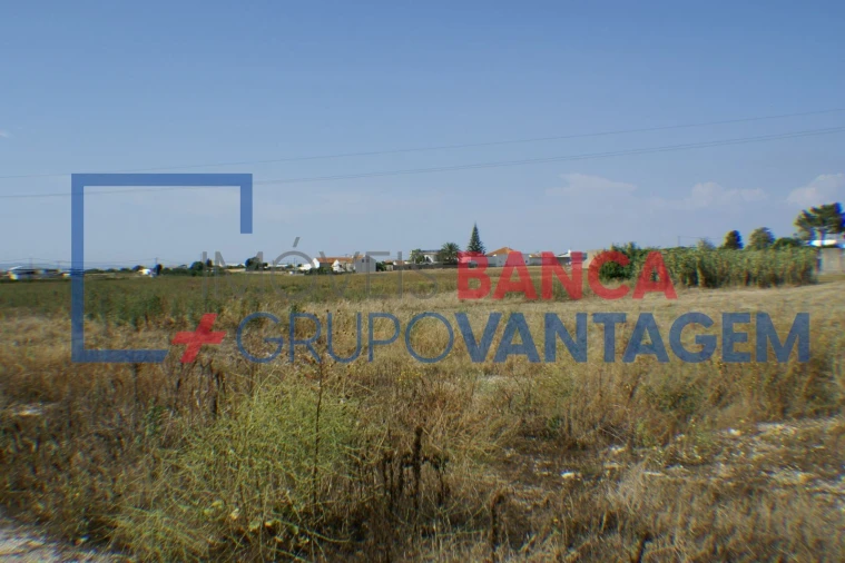 Terreno Misto para Venda em Montijo e Afonsoeiro Foto 6