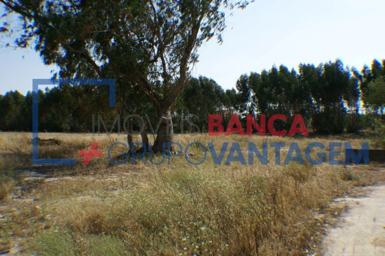 Terreno Misto para Venda em Montijo e Afonsoeiro Foto 10