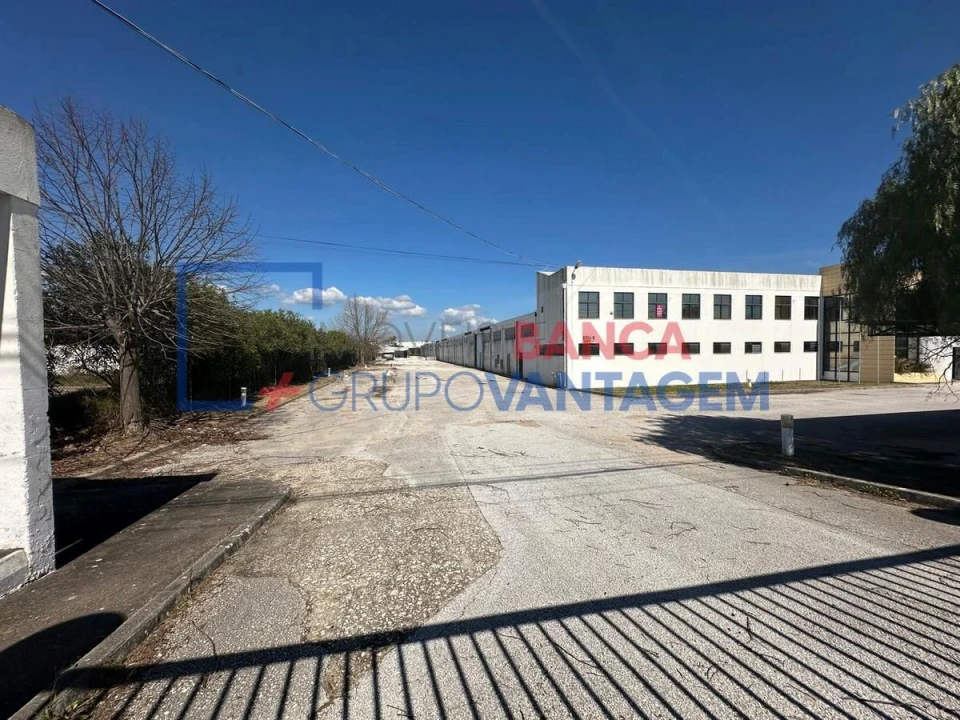 Armazém para Venda em Torres Novas (Santa Maria, Salvador e Santiago) Foto 5