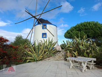 Quinta T2 para Venda em Santa Maria, São Pedro e Matacães