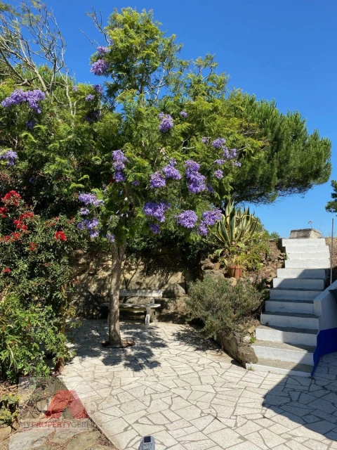 Quinta T2 para Venda em Santa Maria, São Pedro e Matacães