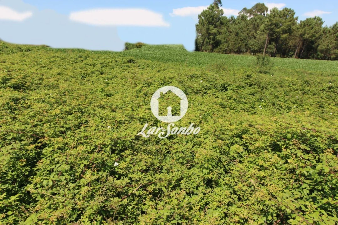 Terreno para Venda em Barqueiros Foto 5