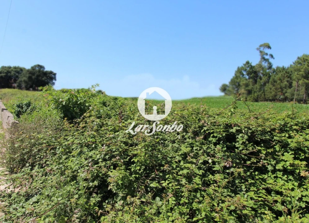 Terreno para Venda em Barqueiros Foto 12