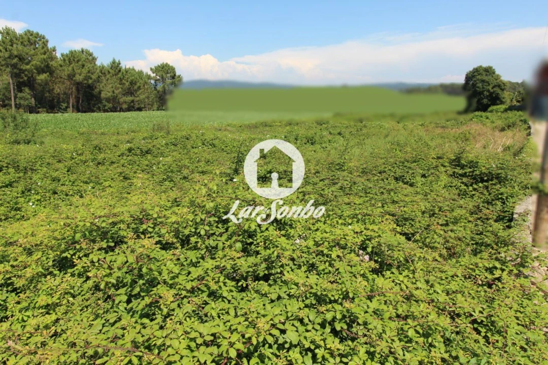 Terreno para Venda em Barqueiros Foto 20
