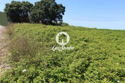 Terreno para Venda em Barqueiros