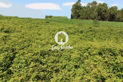 Terreno para Venda em Barqueiros
