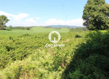 Terreno para Venda em Barqueiros