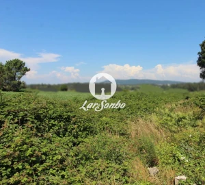 Terreno para Venda em Barqueiros