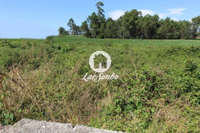 Terreno para Venda em Barqueiros