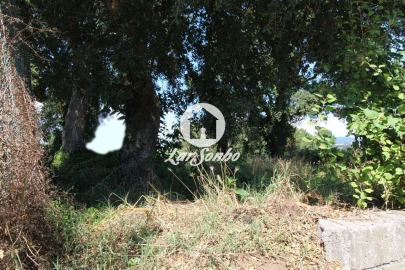 Terreno para Venda em Barqueiros