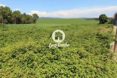 Terreno para Venda em Barqueiros