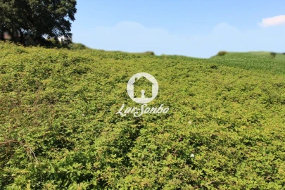 Terreno para Venda em Barqueiros