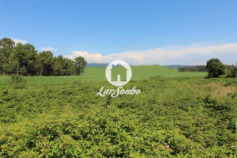 Terreno para Venda em Barqueiros Foto 2