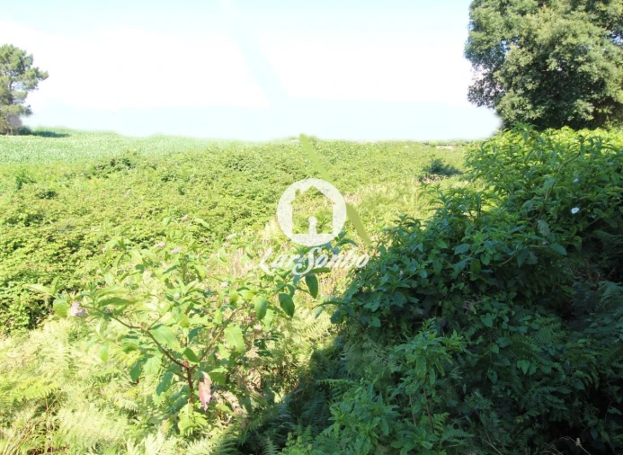 Terreno para Venda em Barqueiros Foto 11