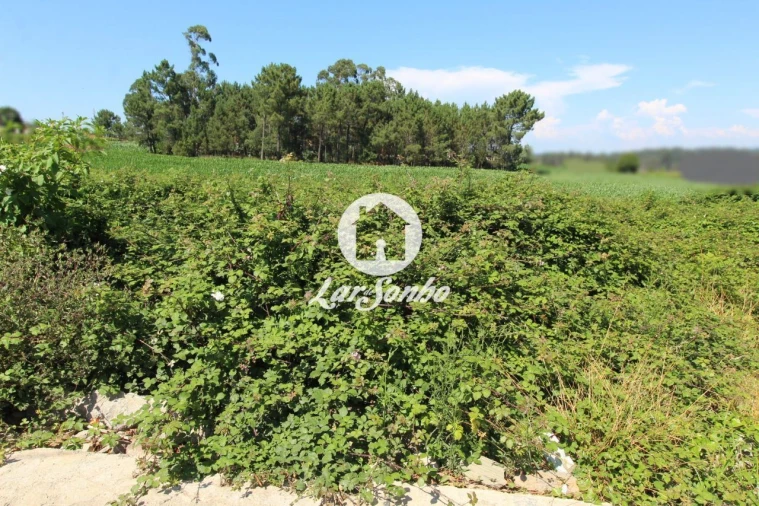 Terreno para Venda em Barqueiros Foto 14