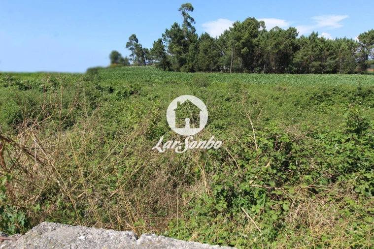 Terreno para Venda em Barqueiros Foto 16