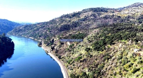 Terreno para Venda em Baião (Santa Leocádia) e Mesquinhata