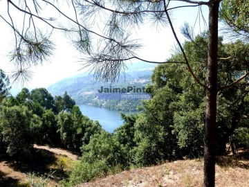 Terreno para Venda em Baião (Santa Leocádia) e Mesquinhata