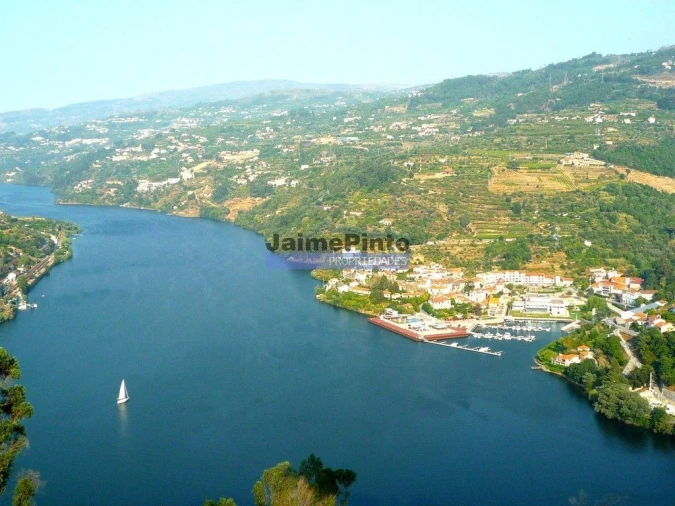 Terreno para Venda em Baião (Santa Leocádia) e Mesquinhata Foto 10
